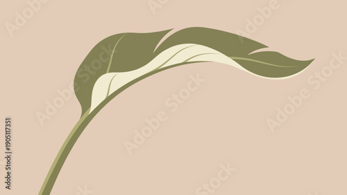 Elegant single green leaf with stem on neutral background.