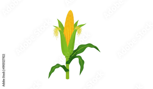 A vibrant vector illustration of a corn stalk with yellow corn
