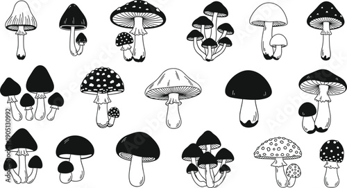 Collection of mushroom icons and fungus silhouettes, variety of forest toadstool sketches, organic nature elements, poisonous and edible mushroom species vector line art.