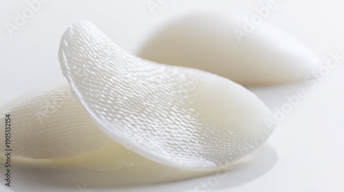 Macro shot of fish scales and gills for culinary education, focusing on texture and freshness detail.