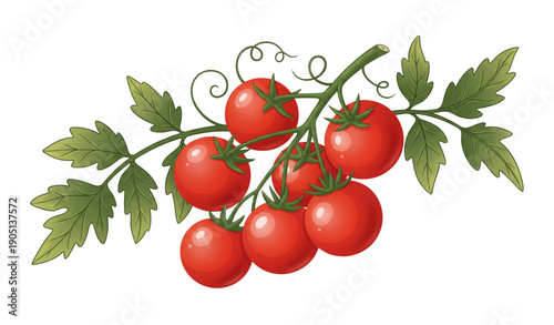 A vibrant illustration of a cluster of ripe tomatoes on a vine