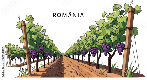An idyllic and expansive vineyard with neatly arranged rows of vibrant green grapevines, heavy with mature purple grapes, depicting the beauty of viticulture and agricultural bounty
