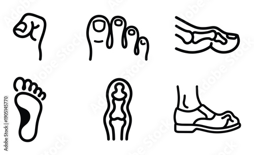 Foot anatomy and footwear illustration, includes toe, foot bones, and a sandal in a minimalist black and white style
