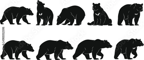 Black bear silhouette collection with standing walking sitting and roaring poses isolated vector wildlife animal illustration set for design projects