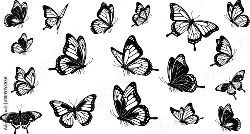 Butterfly silhouette vector collection with flying poses, black and white insect illustration set isolated on white background for design branding