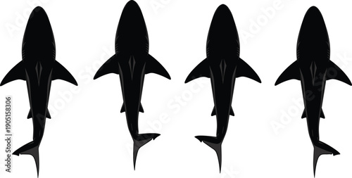 Black silhouettes of four sharks from top view isolated on white background for marine life ocean nature and aquatic design.