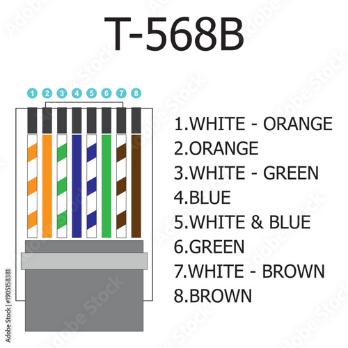 Vector illustration of T-568B: RJ45 cable wire color code