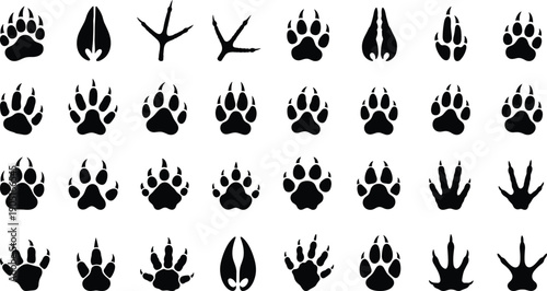 Animal paw and footprint silhouettes collection showing tracks of wild mammals and birds, black wildlife trace icon set isolated on white background for nature and hunting design