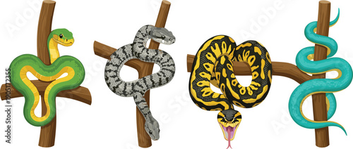 Set of colorful tropical snakes including green tree boa and patterned pythons coiled around wooden branches for wildlife and nature design
