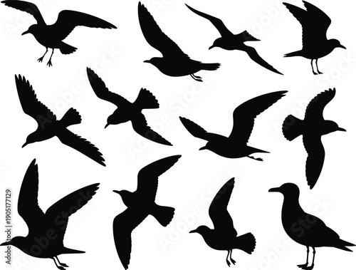 Seagull silhouette collection, black flying bird shapes set, isolated seabird vector illustration featuring gulls in flight, landing, standing stencil icons