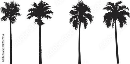Set of tropical palm tree silhouettes, isolated black botanical icons, summer beach nature design elements, exotic landscape vector collection illustration bundle minimal
