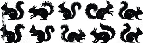 Squirrel silhouette collection, black squirrel shapes set, isolated wildlife animal vector illustration, jumping sitting running squirrels, stencil icons for brandingSquirrel 