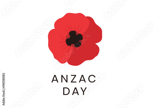 Red Poppy Flower Symbolizing Anzac Day Remembrance.