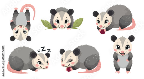 Collection of six cartoon opossums in various poses on a white background with pink tails and gray fur.