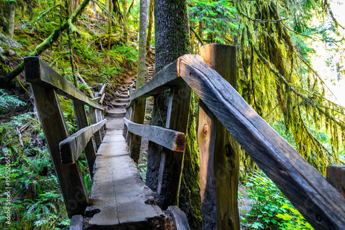 Old Wooden Bridge in Lush Forest on Marymere Falls Trail