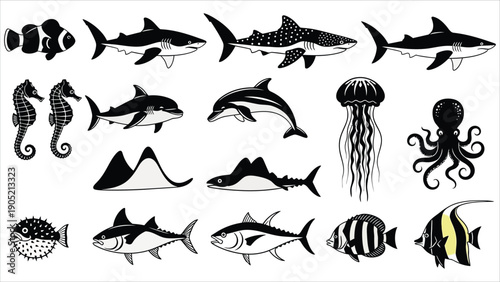  Diverse Marine Life Collection for Educational and Decorative Projects