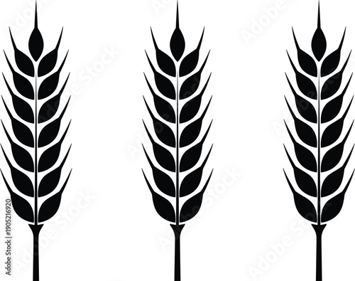 Wheat ear silhouette icon set with agricultural grain plant symbols isolated on white background farming vector illustration
