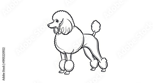 Elegant Poodle Dog Outline Drawing, Minimalist Line Art, Clean Vector Illustration