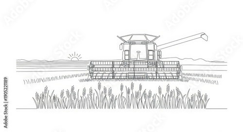 Combine harvester working in a golden wheat field at sunrise, agricultural harvest