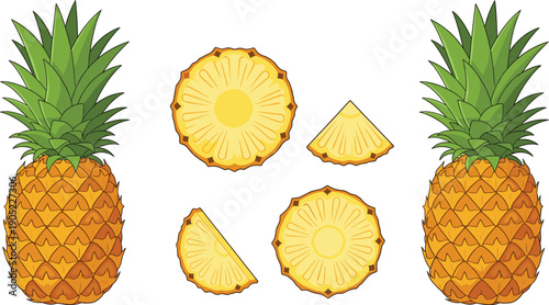 Pineapple Fruit Set with Whole Tropical Fruits and Sliced Pieces Isolated on White Background Flat Vector Illustration