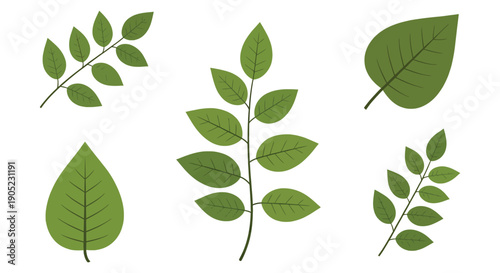 Collection of various stylized green leaves and simple botanical branch illustrations 