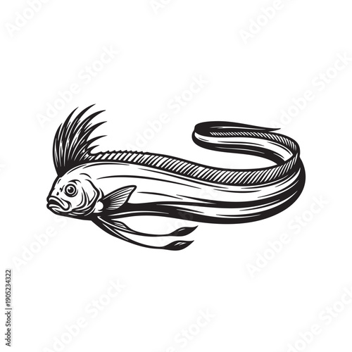 An enigmatic Ribbonfish, rendered in a bold, artistic illustration. This unique creature, with its elongated body and flowing dorsal fin, swims gracefully.