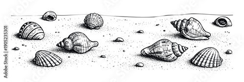 Collection of various seashells and ocean elements scattered on a sandy beach for summer vacation promotions or marine biology educational materials