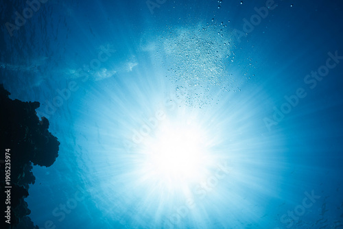 Looking up at the water surface from underwater