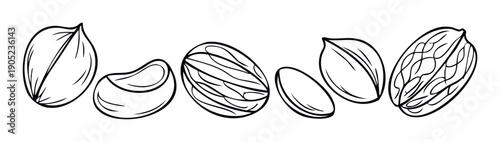 Delicious black outline nuts and seeds collection including almond, cashew, nutmeg, and walnut for natural food packaging, recipe books, or healthy snack promotions