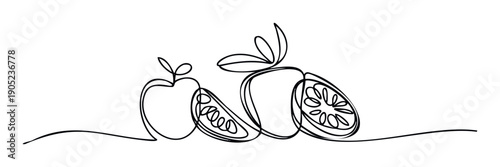 Simple black contour drawing of fresh apple and lemon fruit slices in a modern minimal style ideal for culinary packaging or healthrelated branding graphics