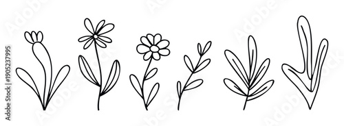 Minimalist hand drawn outline plants and flowers offer a versatile collection of organic botanical elements perfect for creating simple elegant seasonal designs and natural themed graphic