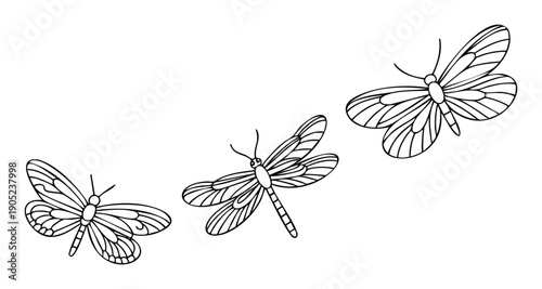 Clean line depictions of various flying insects, including a butterfly and a dragonfly, excellent for childrens learning, educational books, or playful visual applications.