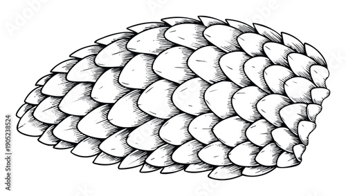 Black and white hand drawn pangolin scales graphic resource perfect for natural science projects, educational materials, or wildlife themed promotional graphics