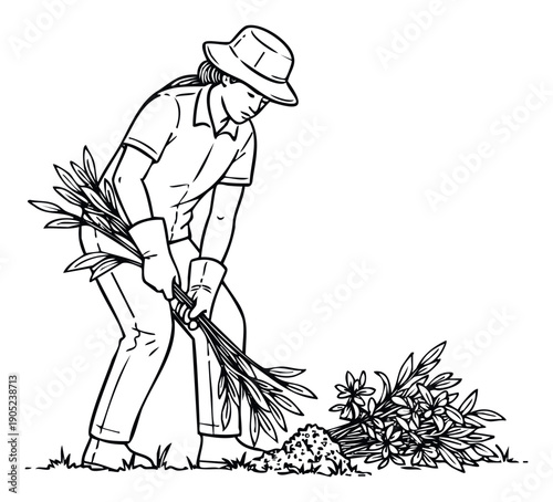 Person efficiently weeding a garden bed by hand showcasing dedicated horticultural labor and groundskeeping efforts suitable for educational materials or outdoor living promotions