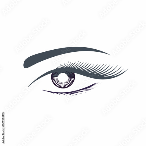 Stylized eye illustration with eyebrow and lashes for beauty and fashion designs