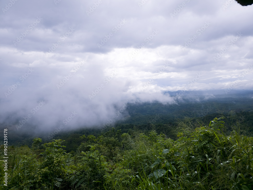 Fototapeta premium Haputale, Sri Lanka