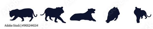 Collection of Tiger Illustrations in Various Poses and Styles. Collection of four distinct black silhouettes, vector illustration.