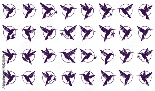 Collection of Hummingbird Silhouettes in Various Flying Positions with Floral Elements