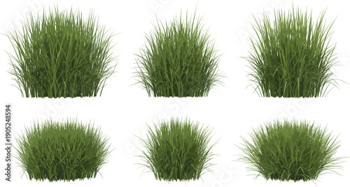 Realistic Green Grass Bush Tuft Set Isolated on White Background Natural Lawn Plant Shrub Collection Vector Illustration