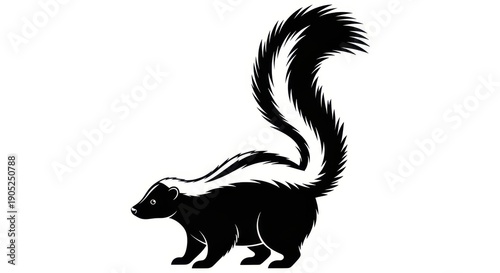 Skunk Illustration: Black and White Wildlife