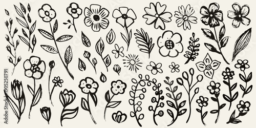A collection of hand drawn floral sketches in black and white
