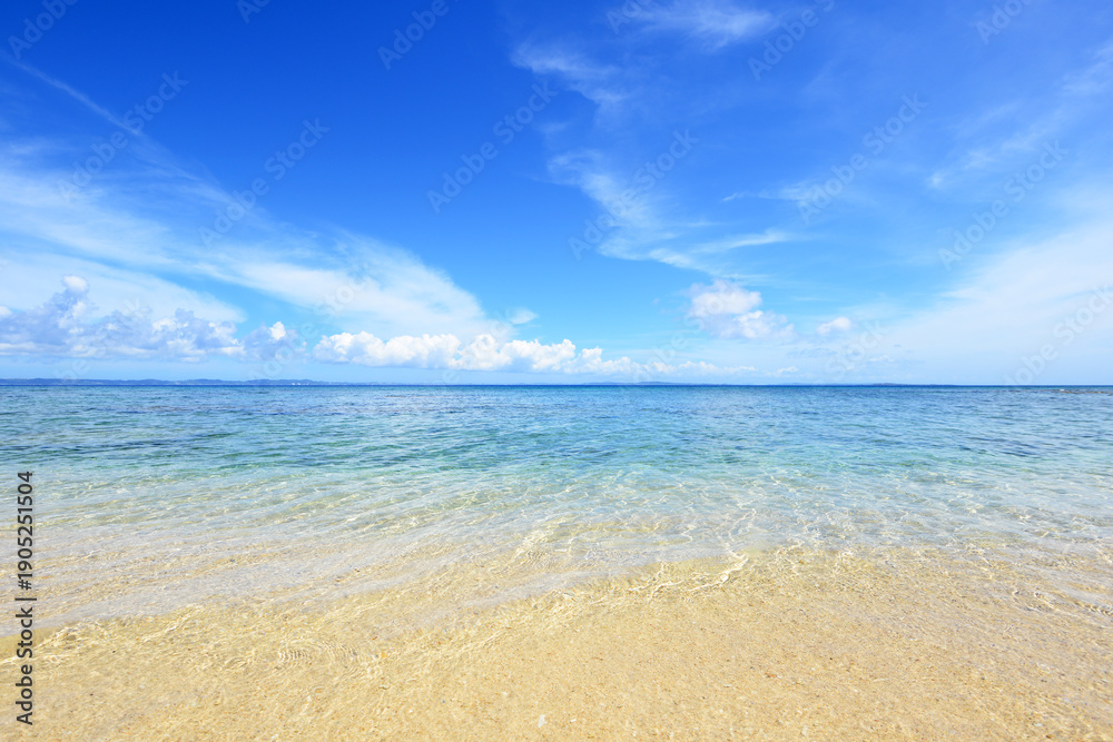 Fototapeta premium 美しい海の風景