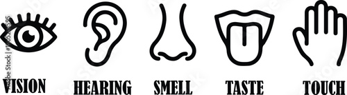 Five Senses Outline Icon Set for Human Body Perception and Sensory System