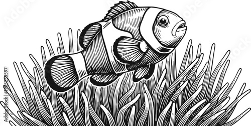 Clownfish swimming among sea anemone underwater, marine life, ocean habitat ecosystem illustration