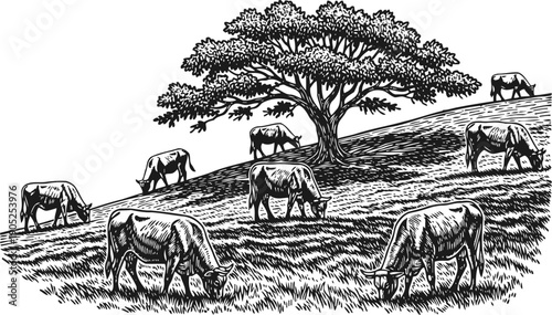 Cows grazing on a hill with large tree in pasture landscape illustration