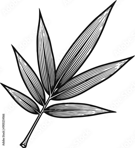Black and white bamboo leaf illustration with detailed texture and natural vein patterns