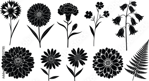 15 Single Words flower, silhouette, nature, garden, floral, botanical, spring, summer, blossom, plant, fern, daisy, wildflower, vector, isolated