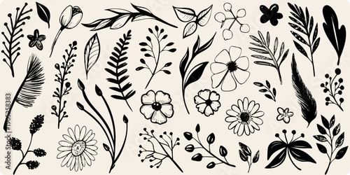 Black and white botanical illustration featuring various leaves flowers and branches