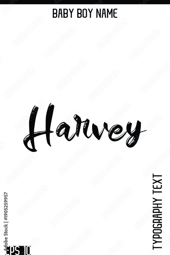 Fototapeta premium Harvey -Boy Names Modern Brush Typography Text Hand Lettering Vector Design