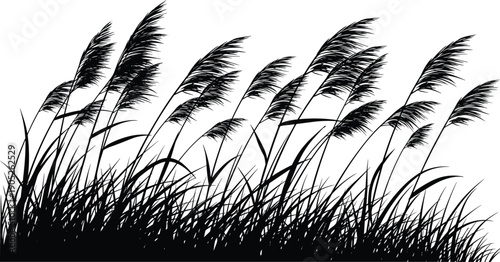 Black silhouette of meadow grass, wildflowers, and reed plants set, cad drawing flat vector illustration for nature landscape design borders, isolated